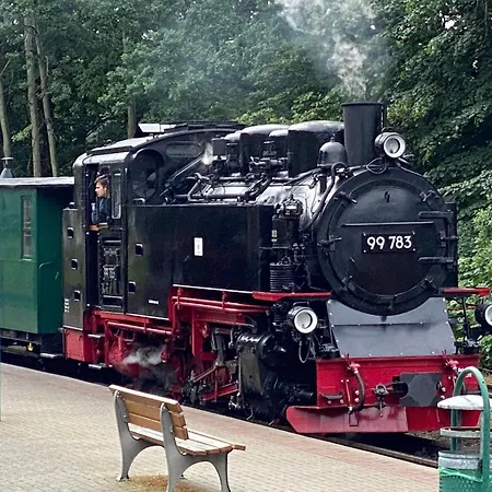 Maximus In Einem Mit 3 In Auf Ruegen *